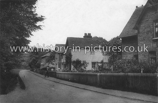 Woodhurst, Hatfield Broad Oak, Essex. c.1905